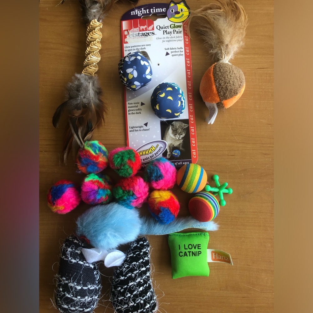 Assorted Multicolor Cat Toy Bundle - Quiet toys